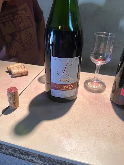 Domaine de Lallay - Vigneron Chinon AOC, Vignoble à Avon-les-Roches