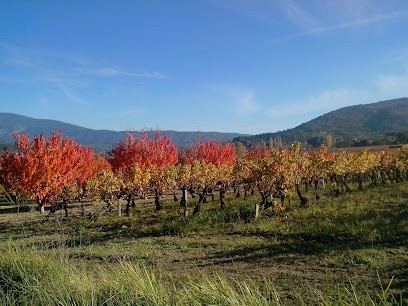 Domaine Le Mirabeau, Vignoble à Mirabel-aux-Baronnies