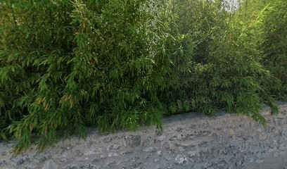 Sarl JB Cavalier, Vignoble à Vacquières