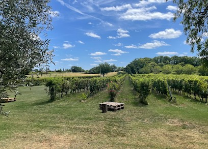 Château des Cloutous, Vignoble à Bagat-en-Quercy