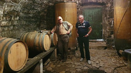 Domaine Du Mioula, Vignoble à Salles-la-Source