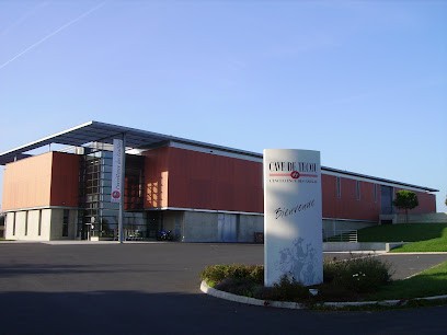 Vinovalie - Cave De Técou, Vignoble à Técou