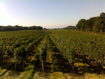 SCEA Des Vignobles Chevalier Et Fils, Vignoble à Villegouge