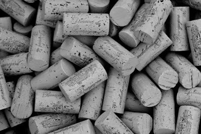 Domaine Du Beauregard, Vignoble à Saint-Sernin-du-Plain