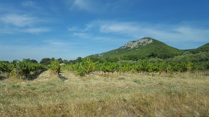 Domaine Morand - Le Panier Du Domaine, Vignoble à Saint-Hippolyte-le-Graveyron