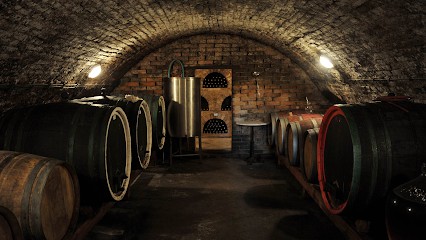 Breton Jérémy, Vignoble à Allemant