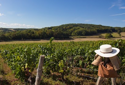 Domaine de Champvallon, Vignoble à Auxerre