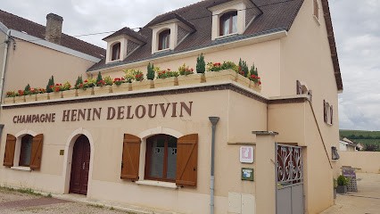 Henin Delouvin Scev, Vignoble à Aÿ-Champagne