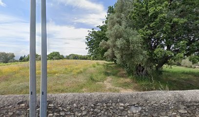 Guidicelli Jean, Vignoble à Saint-Tropez