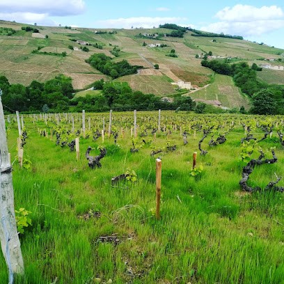 Domaine Benjamin Passot, Vignoble à Vauxrenard