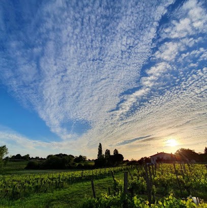 Domaine Aline, Vignoble à Saint-Genès-de-Castillon