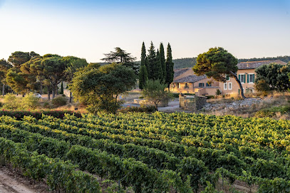 Château Ciceron Vignoble à Ribaute
