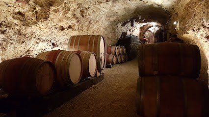 Domaine Antoine SANZAY, Vignoble à Varrains