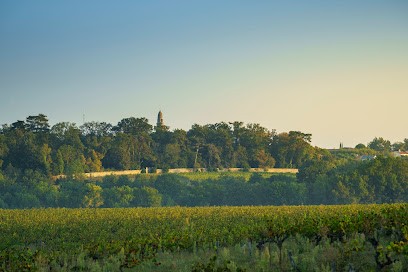 Domaine Du Grand Mouton, Vignoble à Saint-Fiacre-sur-Maine