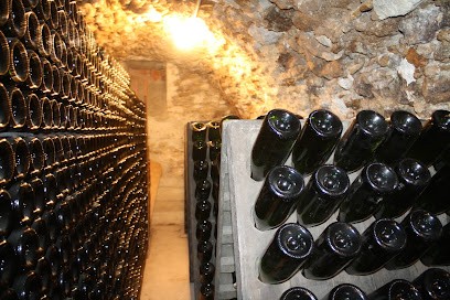Champagne Couvent-Lemery, Vignoble à Trélou-sur-Marne