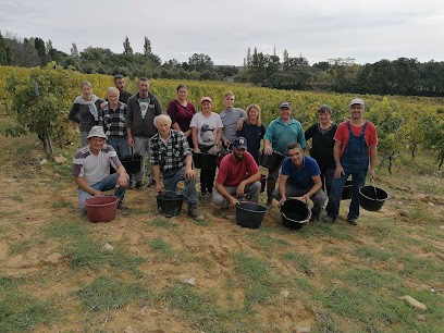 Domaine Gigondan M Et Fils EARL, Vignoble à Saint-Pantaléon-les-Vignes