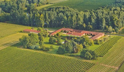 Château De Salles, Vignoble à Salles-d'Armagnac