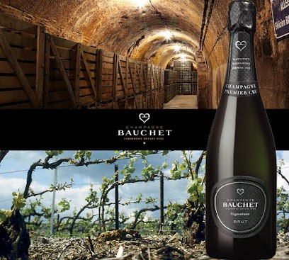 Champagne Bauchet, Vignoble à Aÿ-Champagne