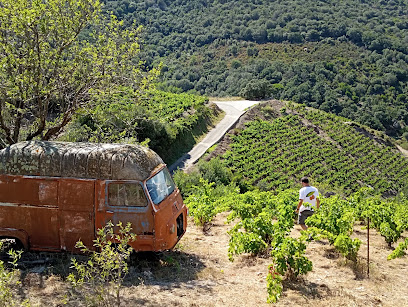 Domaine Carterole Vignoble à Saint-André