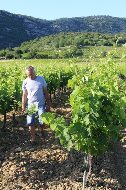 Winemakers Clos de l'Abbé Dubois, Vignoble à Saint-Remèze