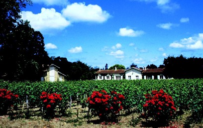 Château Hourbanon / SCF Delayat Et Fils, Vignoble à Bégadan