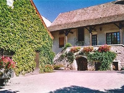 Viticulteur Narjoux-Normand, Vignoble à Saint-Martin-sous-Montaigu