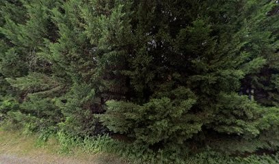 Auger Philippe, Vignoble à Blaslay