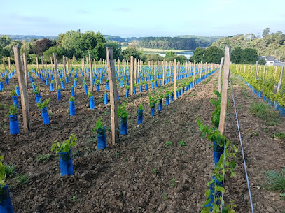 Les Vignes De Saint Goustan, Vignoble à Auray