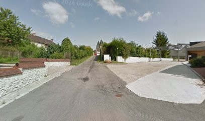 Coopérative Vinicole, Vignoble à Passy-Grigny