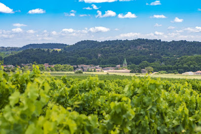 Château Villegly Vignoble à Villegly