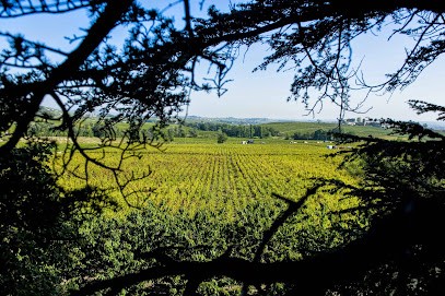 Domaine de Garanches, Vignoble à Odenas