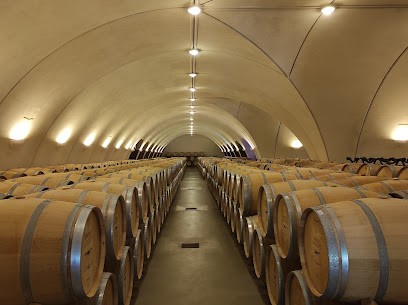 Château Lagrézette, Vignoble à Caillac