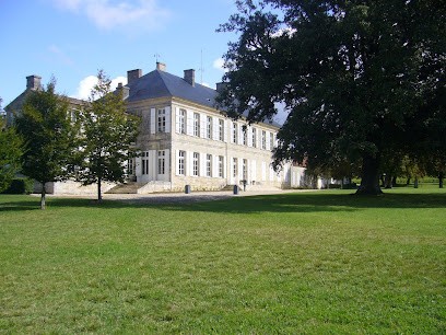 Château De Barbe, Vignoble à Villeneuve
