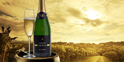 Champagne Gérin, Vignoble à Aÿ-Champagne