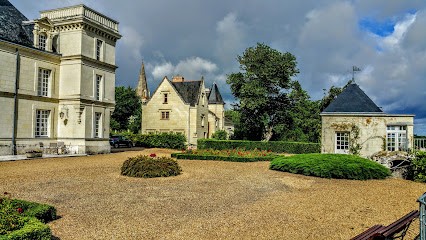Château De Villeneuve, Vignoble à Souzay-Champigny