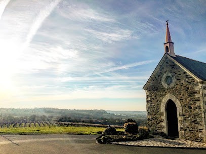 Domain Galloires, Vignoble à Orée d'Anjou