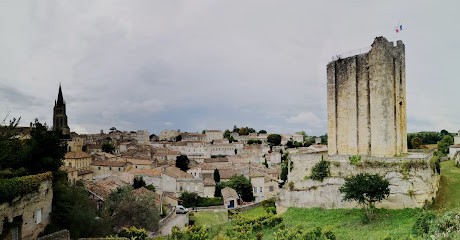 Saint-Émilion Grand Cru Classé, Vignoble à Saint-Laurent-des-Combes