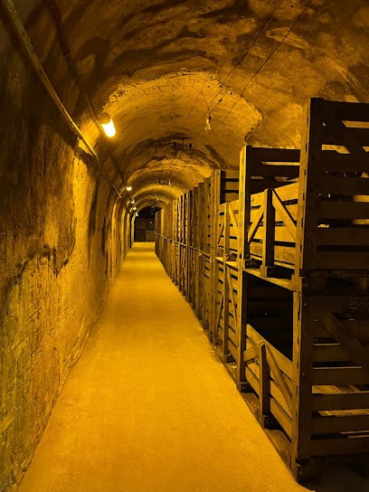 Champagne Paul Bara grand cru, Vignoble à Bouzy