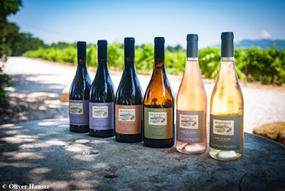 Montirius, Vignoble à Sarrians