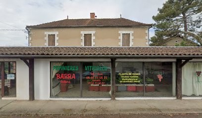Barra Gilbert, Vignoble à Vélines