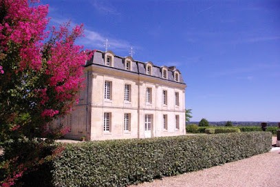 Château Puy Guilhem, Vignoble à Saillans
