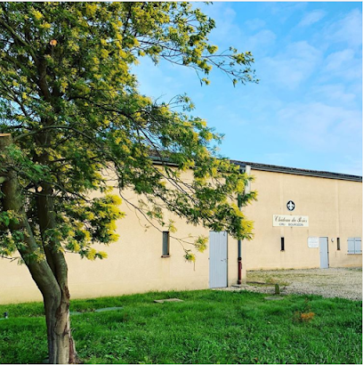 Château Du Perier Vignoble à Saint-Christoly-Médoc