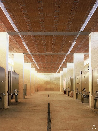 Domaine les Aurelles, Vignoble à Nizas