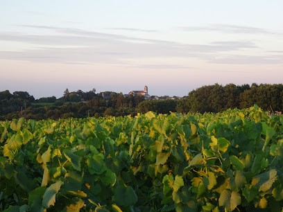 Romain Moreau - Viticulteur, Vignoble à Orée d'Anjou