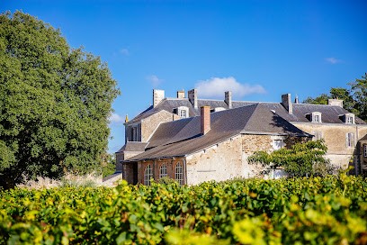 Vignobles Günther-Chéreau , Château Du Coing, Vignoble à Saint-Fiacre-sur-Maine