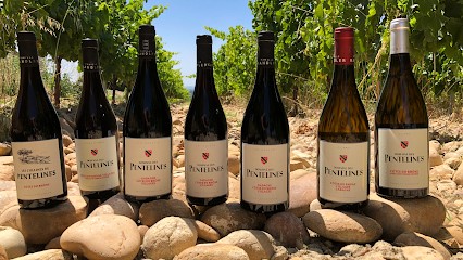 Domaine Des Pentelines SCEA, Vignoble à Vedène