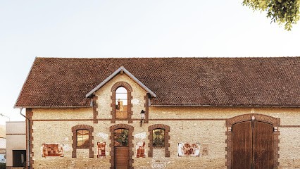 Champagne Chassenay D'Arce, Vignoble à Ville-sur-Arce