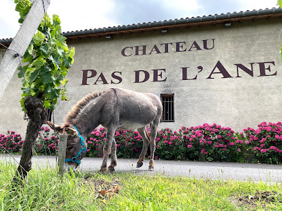 Château Pas De L'âne Vignoble à Saint-Émilion