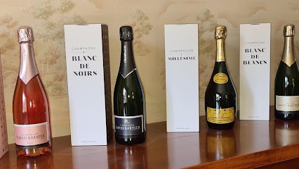 SCEVA DAVID BARNIER - CHAMPAGNE, Vignoble à Villevenard