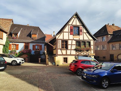 Bléger Henri, Vignoble à Saint-Hippolyte